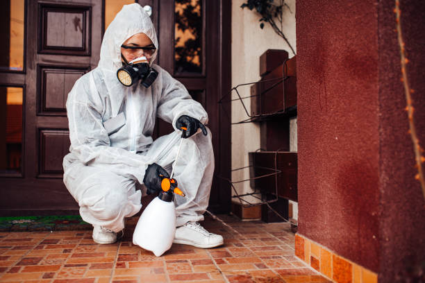 Reliable Ant Control contractor in North Potomac, MD by Nex Pest Control