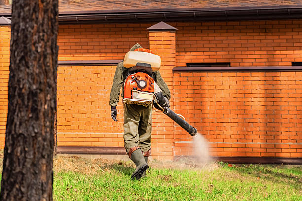 Trusted Bed Bug Control service in North Potomac, MD - Nex Pest Control